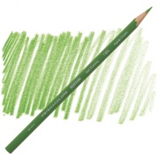   Prismacolor Apple Green 738.5